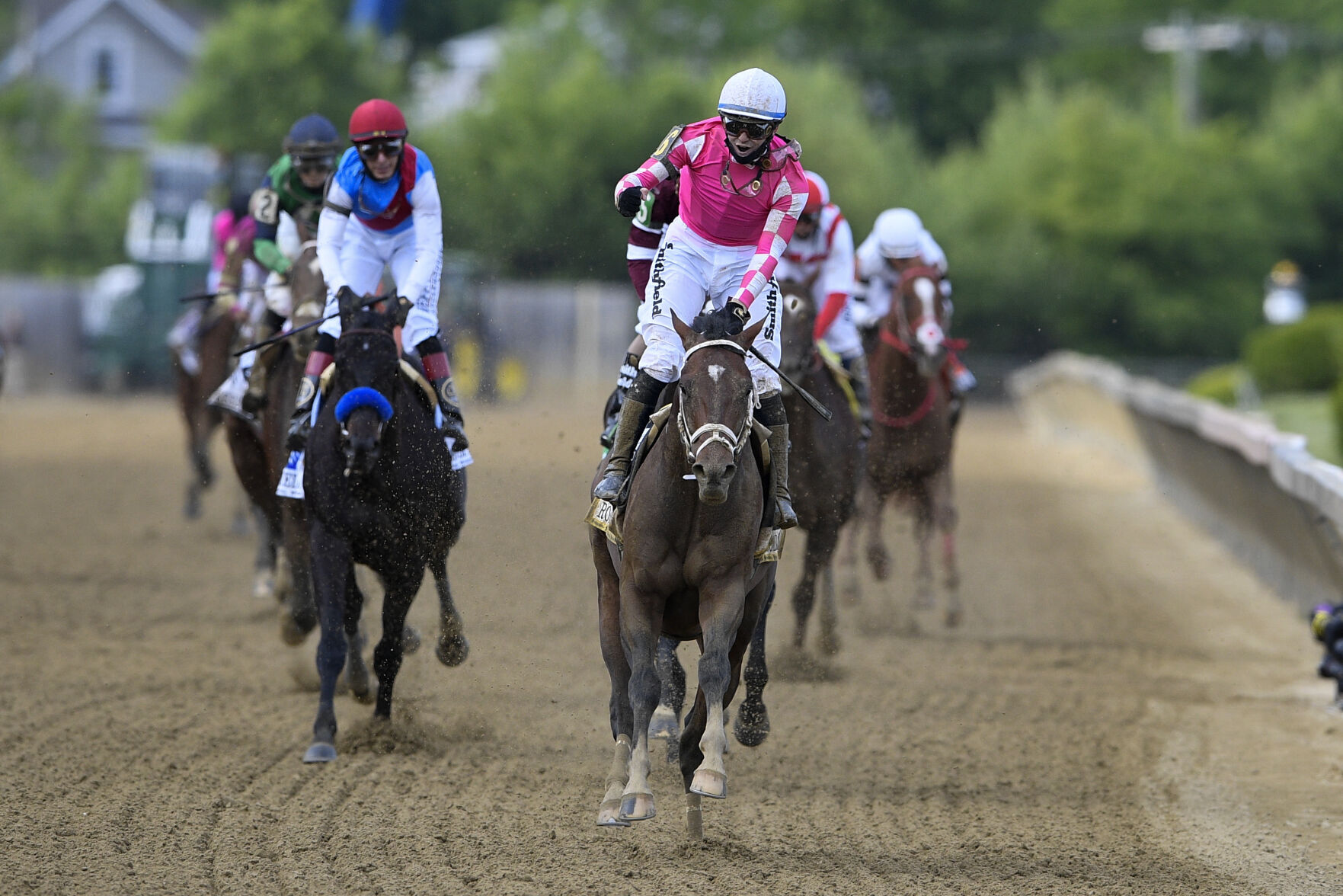 Preakness Stakes Horse Race